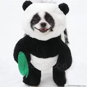 huxleythepandapuppy thumbnail