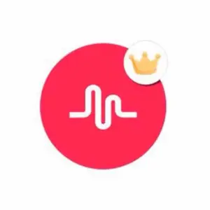 musical.ly6430
