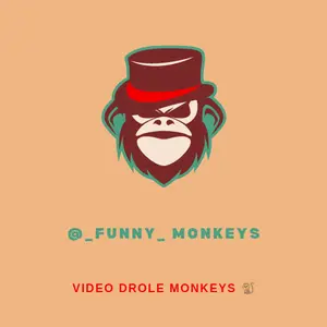 _funny_monkeys