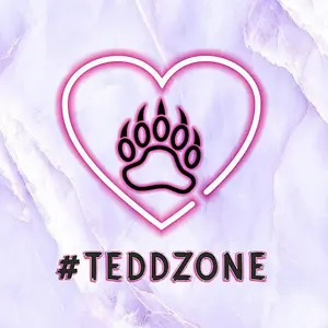 teddzone.kz