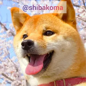 shibakoma