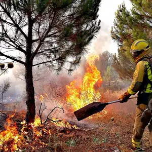 bomberoforestal