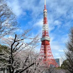 cinematictokyo