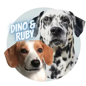 dino.and.ruby