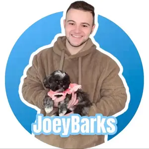 joeybarks thumbnail