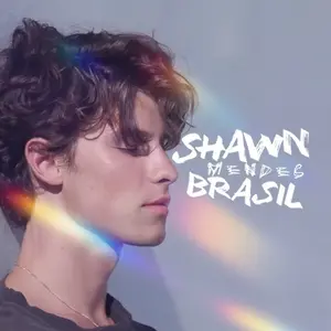 shawnmendesbra