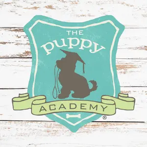 thepuppyacademy