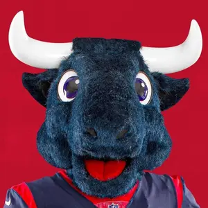 texanstoro1