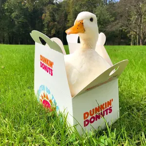 dunkin.ducks thumbnail