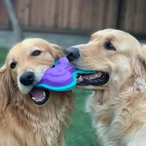 twogoldens