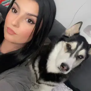 maya.husky thumbnail