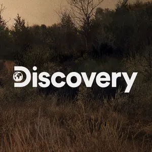 discovery