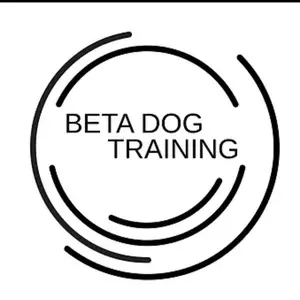 betadogtraining