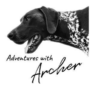 adventures_with_archer