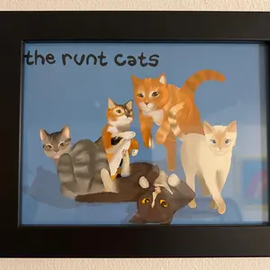 theruntcats