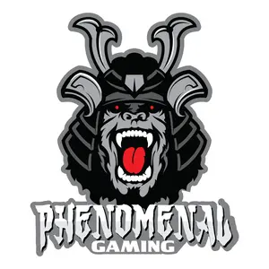 phenomenal_gaming