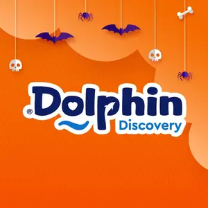 dolphindiscovery