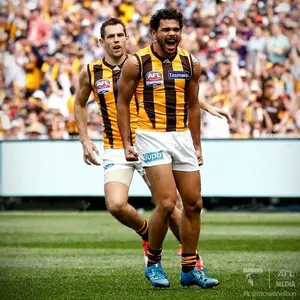 hawthornfc03