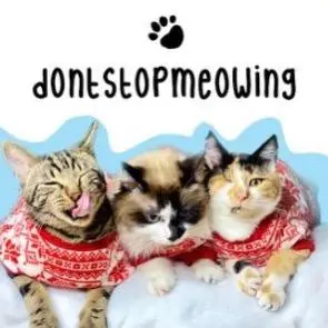 dontstopmeowing thumbnail