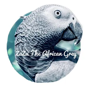 zazutheafricangrey