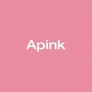 official_apink2011