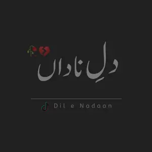 dil_e_nadaan00
