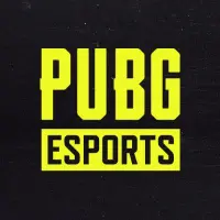 pubg.esports.official