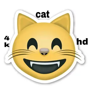 cat_4k_hd