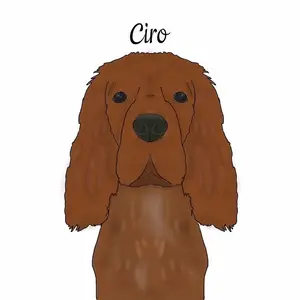 cirothedog_