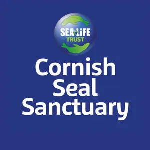 cornishsealsanctuary