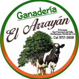 ganaderia_elarrayan thumbnail