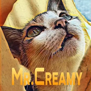 mr.creamy01 thumbnail