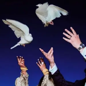 doves4occasions