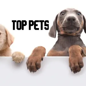 top.pets