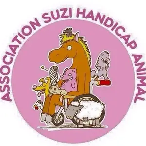 suzihandicap