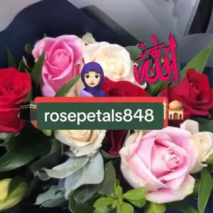 rosepetals848