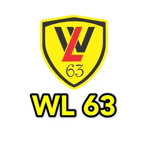 wl63.com