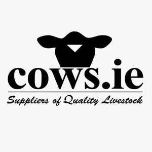 cows.ie