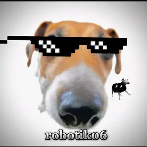 robotik06