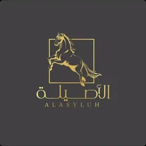 alasila_design