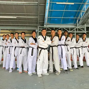 taekwondoinsights