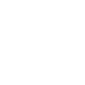 burton.design_cpt