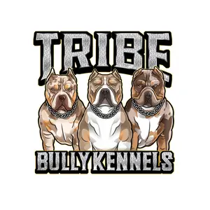 tribebullykennels_anniem