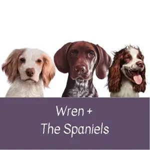 wren_and_the_spaniels