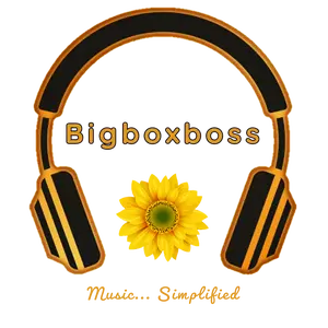 bigboxboss thumbnail