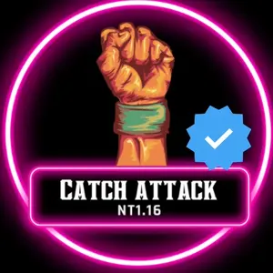 catch_attack_nt1.16