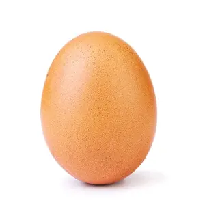 just.a.regular.egg
