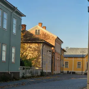 puuttuvapalanen