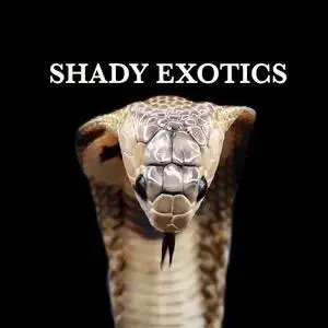 shady.exotics