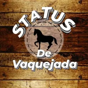 status.de.vaquejada